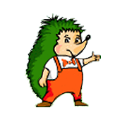 Зеленый ковёр